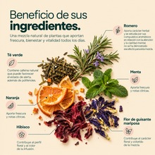 Cargar imagen en el visor de la galería, Beneficios de los ingredientes de Recarga Té Fucsia Energizante: romero, té verde, menta, naranja, hibisco y flor de guisante mariposa
