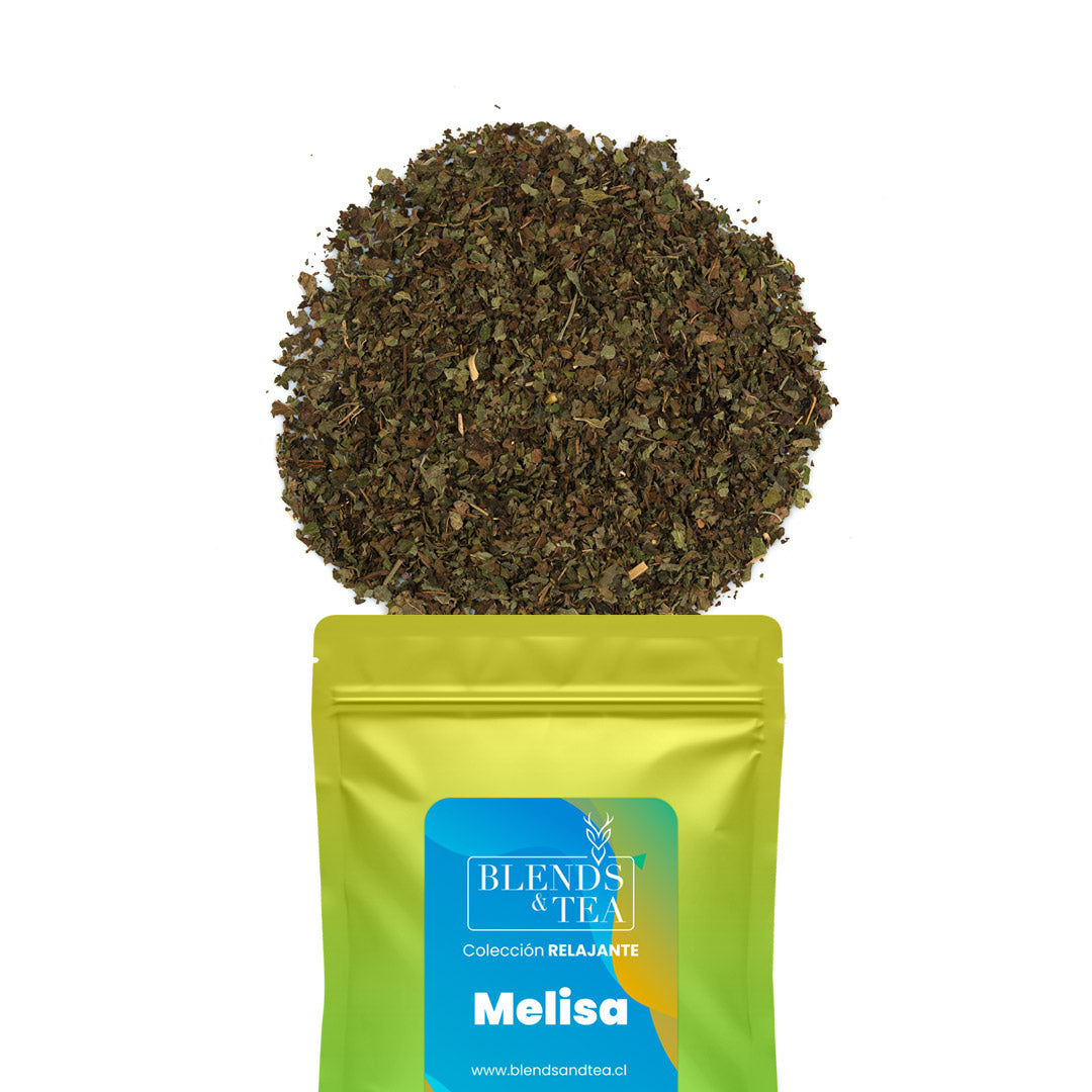 Mini Recarga Melisa